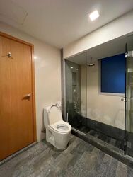 8 @ Mount Sophia (D9), Condominium #569798551